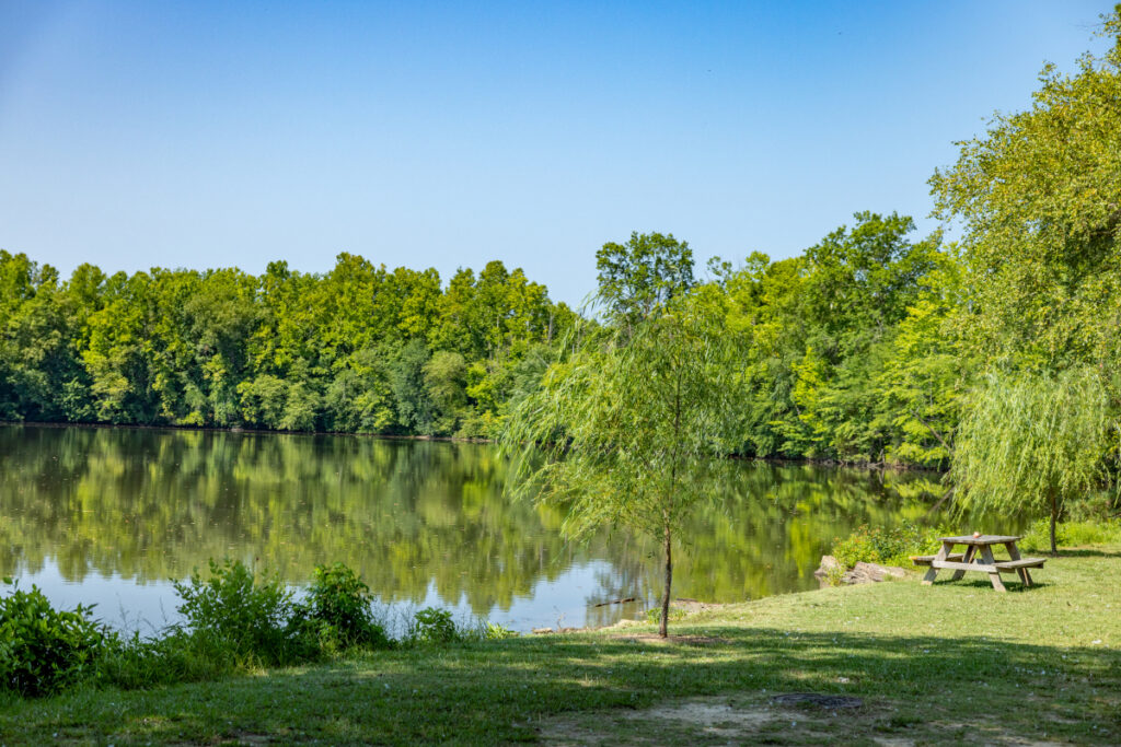 Picnic at Wilcks Lake
